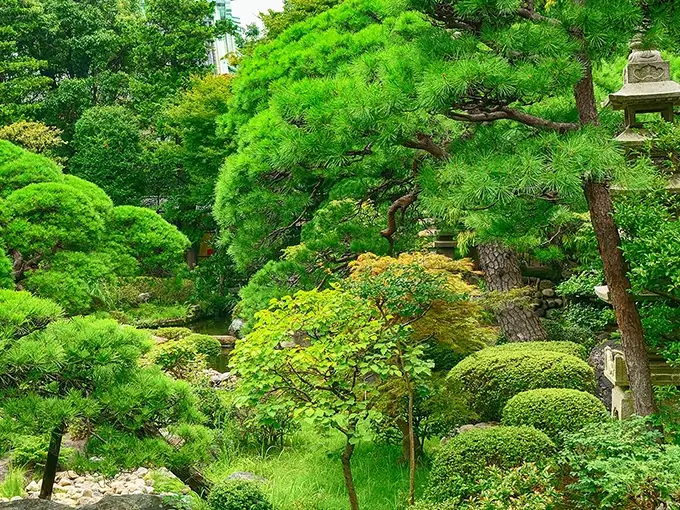 柴又帝釈天