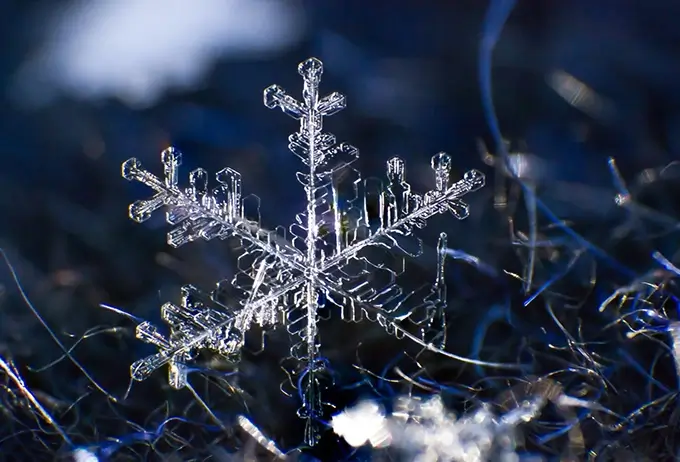 雪の結晶